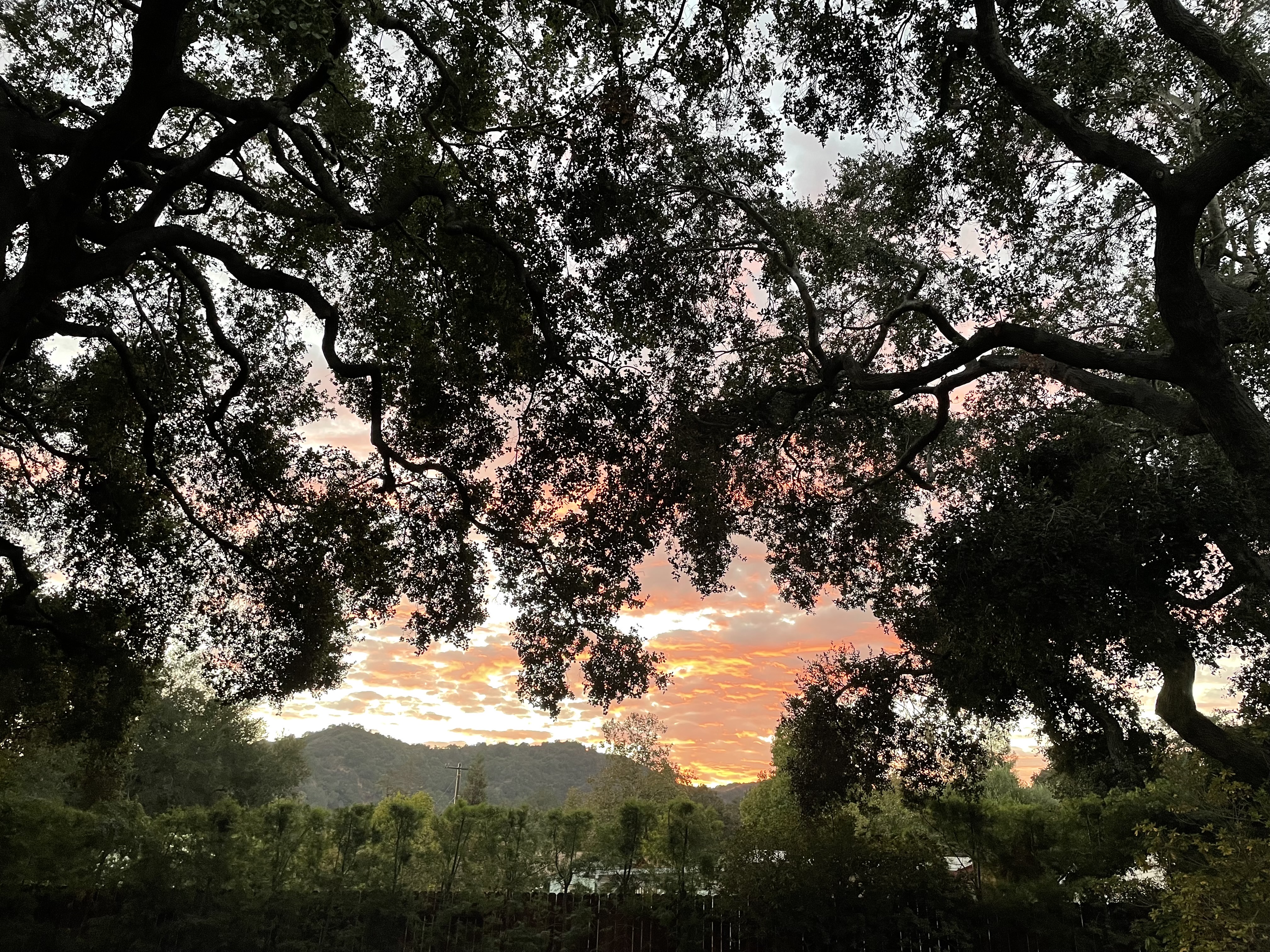 https://www.takeshihosomi.com/blog-img/2022/10/31/ojai.jpg